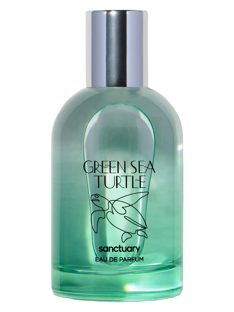 Sanctuary Green Sea Turtle