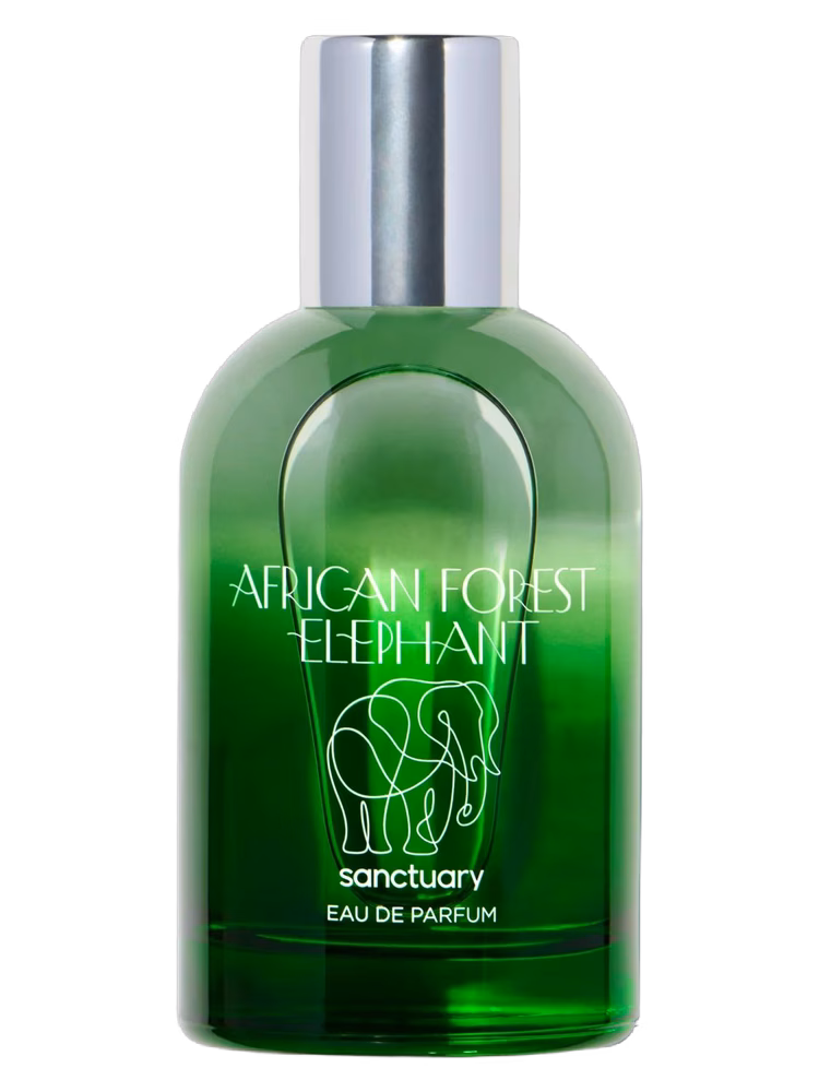 Sanctuary African Forest Elephant