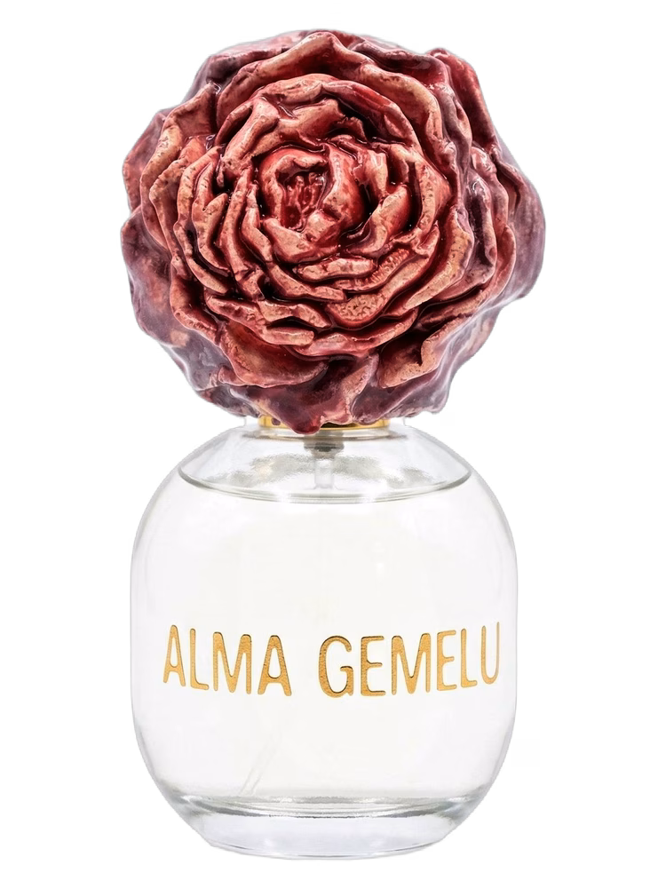 Alma Gemelli Rosa di Fiore