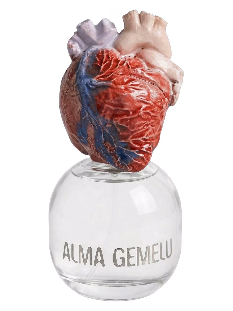 Alma Gemelli Grappolo di Cuore
