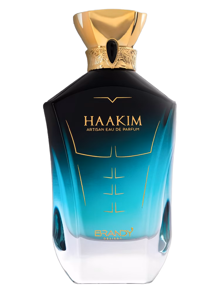 Brandy Designs HAAKIM