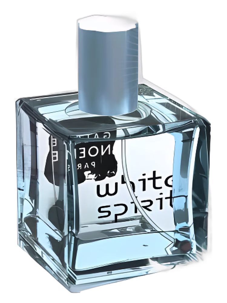 Galerie Noemie White Spirit