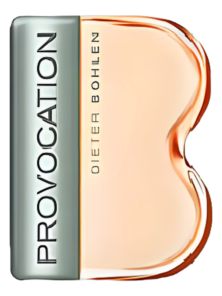 Dieter Bohlen Provocation for Women