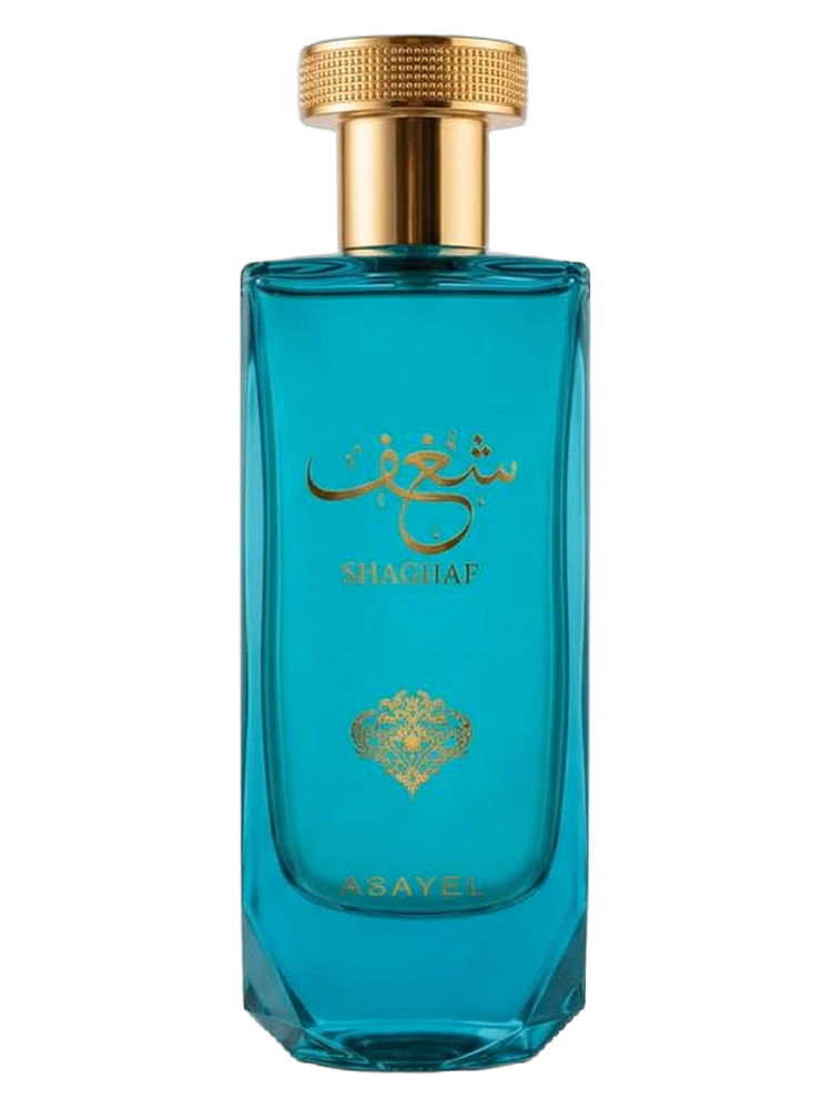 Asayel Shaghaf