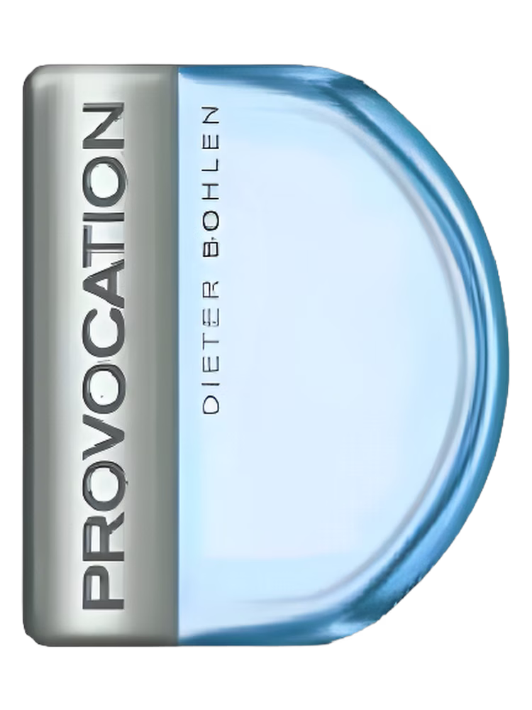 Dieter Bohlen Provocation for Men