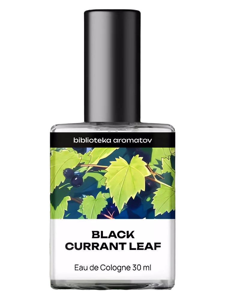 biblioteka aromatov Black Currant Leaf