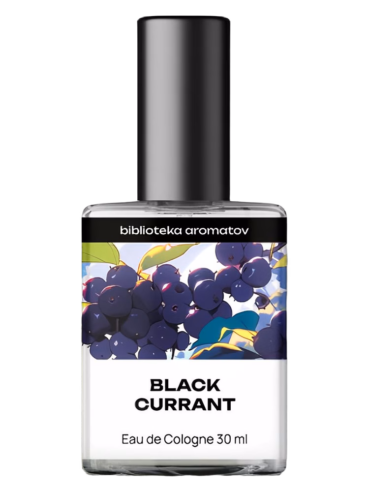 biblioteka aromatov Black Currant