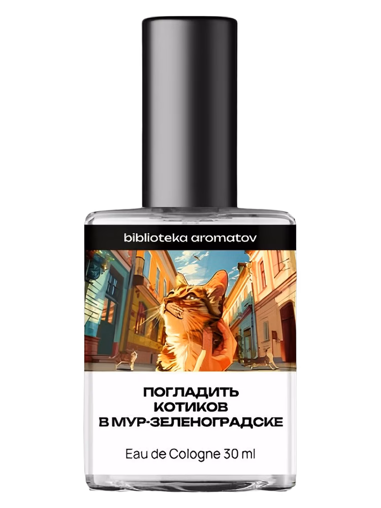 biblioteka aromatov Stroking the cats in Mur-Zelenogradsk (Погладить котиков в Мур-Зеленоградске)