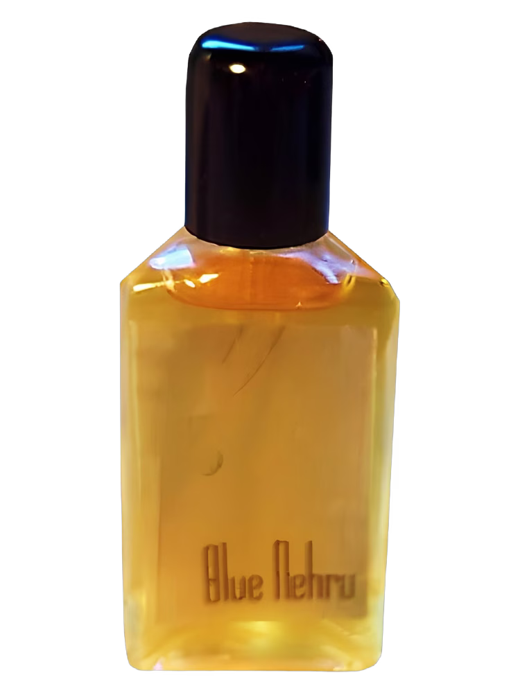 Robbie VanGogh Blue Nehru