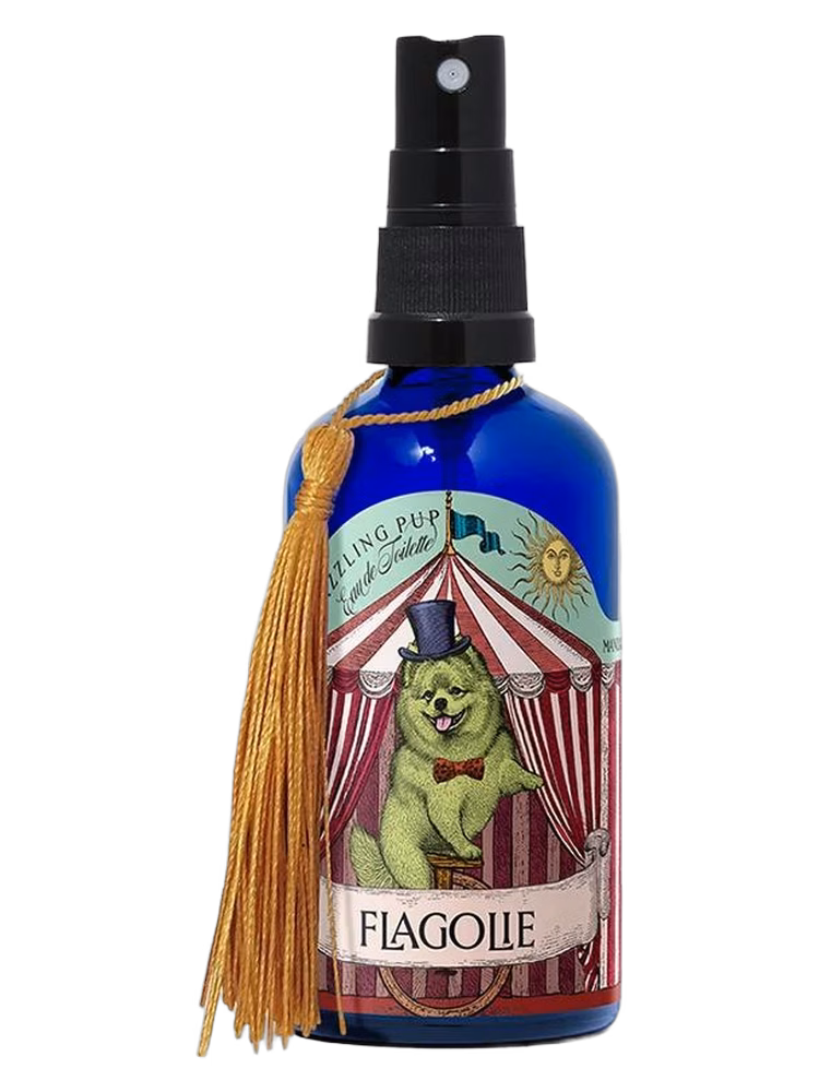Flagolie Dazzling Pup