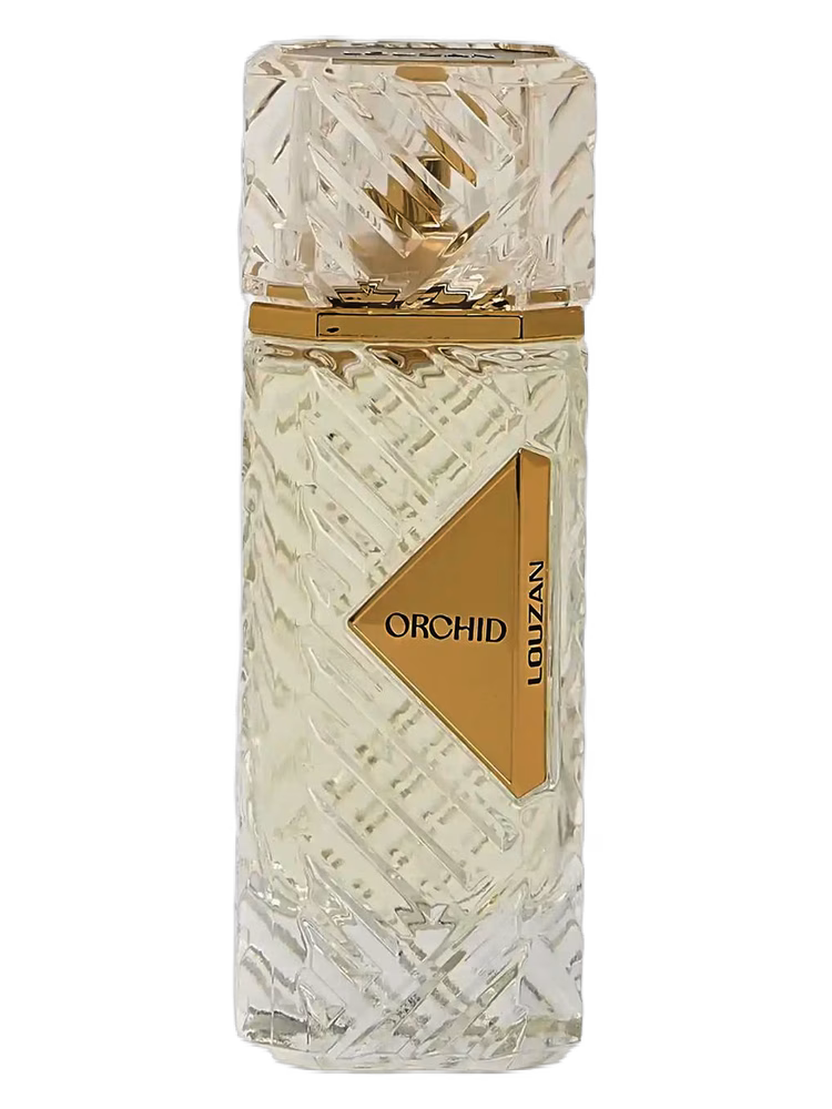 Louzan Orchid