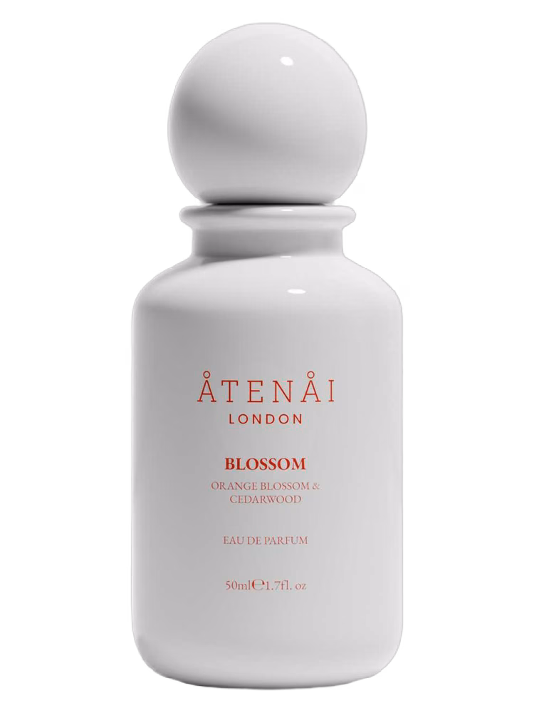 Atenai London Blossom