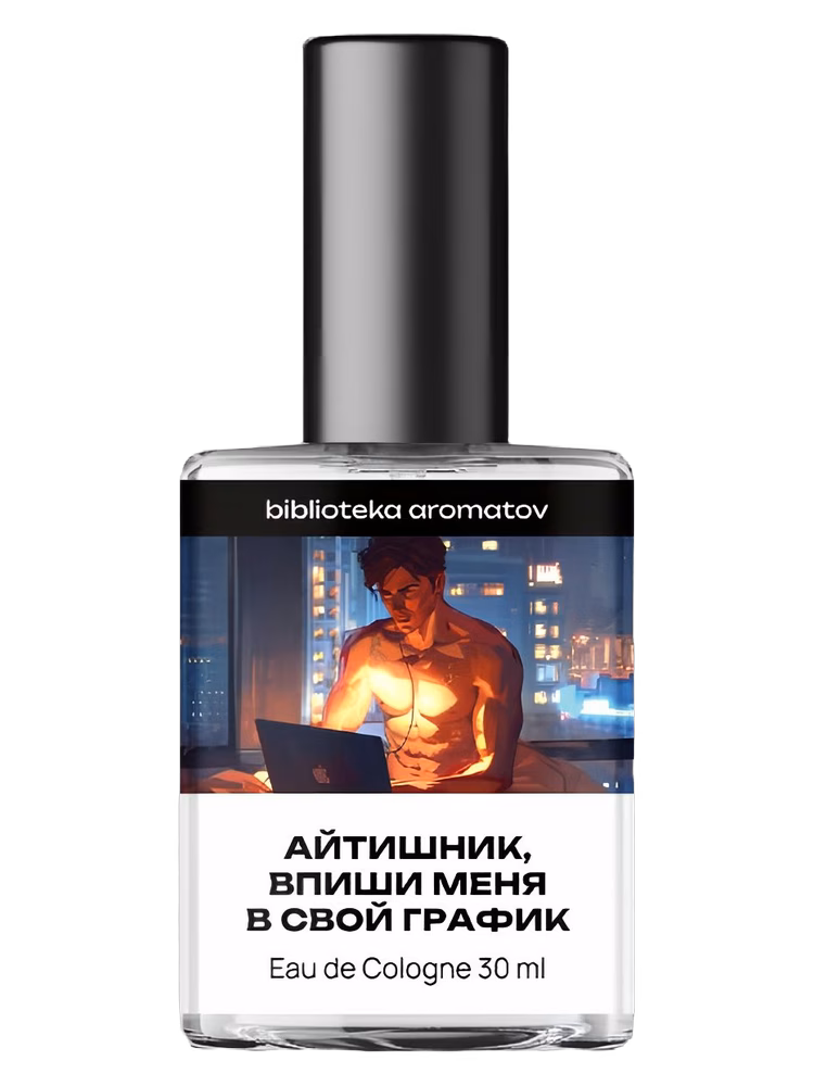 biblioteka aromatov Айтишник, впиши меня в свой график (IT guy, put me on your schedule)