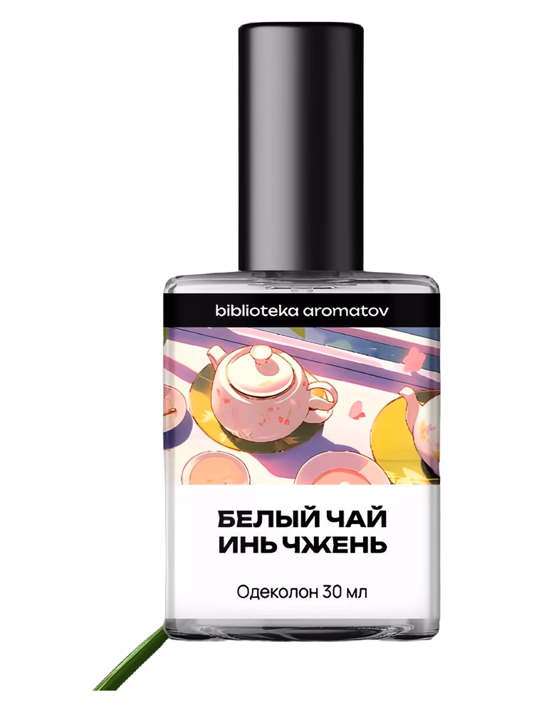 biblioteka aromatov Baihao Yinzhen Tea (Белый чай Инь Чжень)