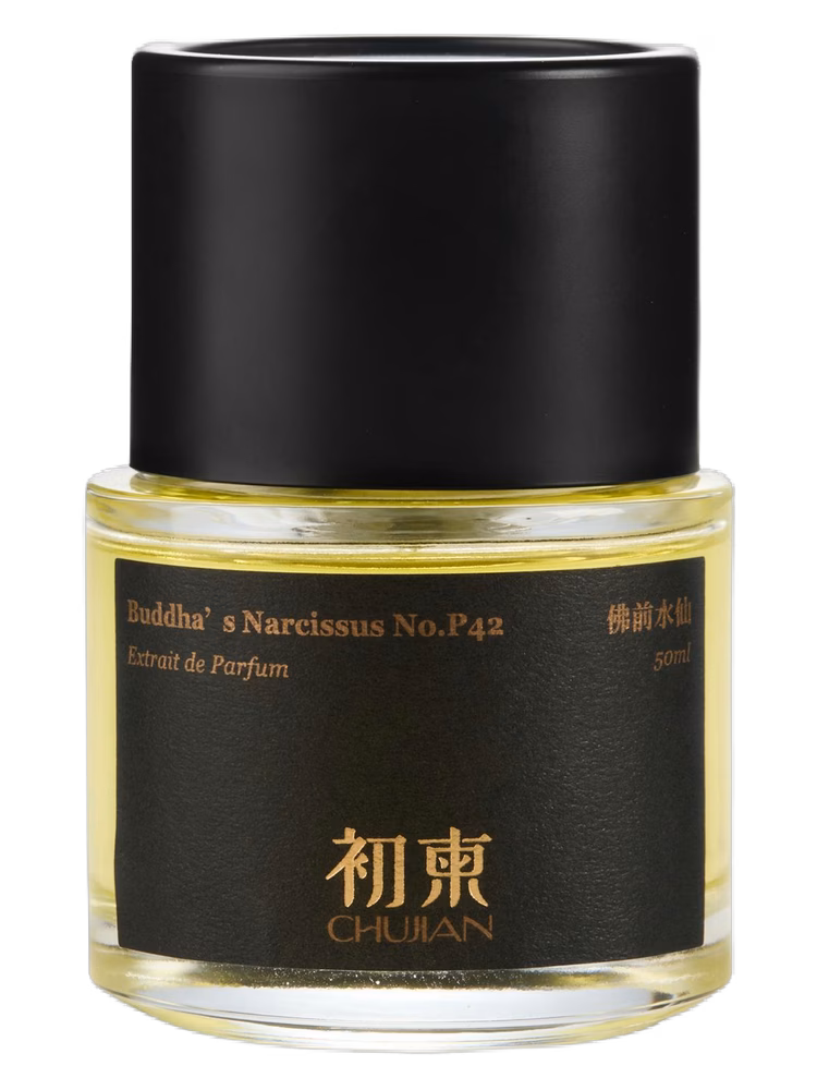 ChuJian 初柬 Buddha‘s Narcissus No.P42 佛前水仙