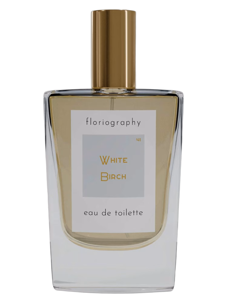 Floriography No. 41 White Birch