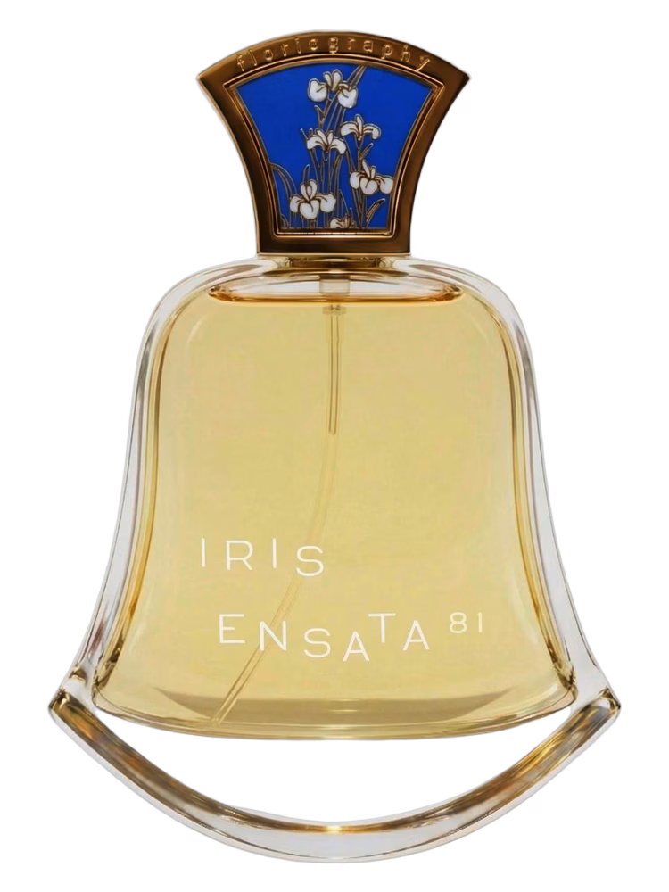Floriography No. 18 Iris Ensata