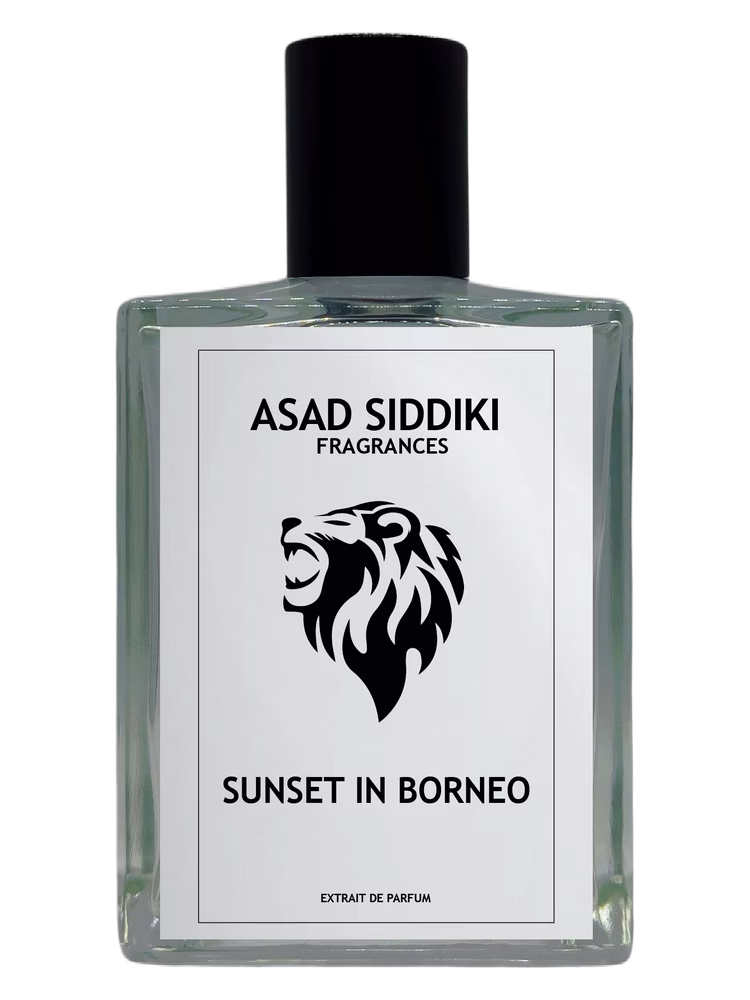 Asad Siddiki Sunset In Borneo