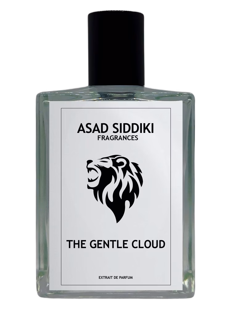 Asad Siddiki The Gentle Cloud