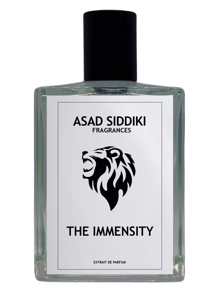 Asad Siddiki The Immensity