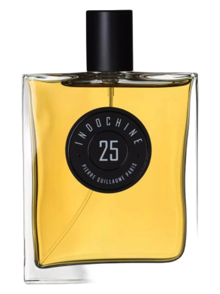 Pierre Guillaume Paris Indochine 25
