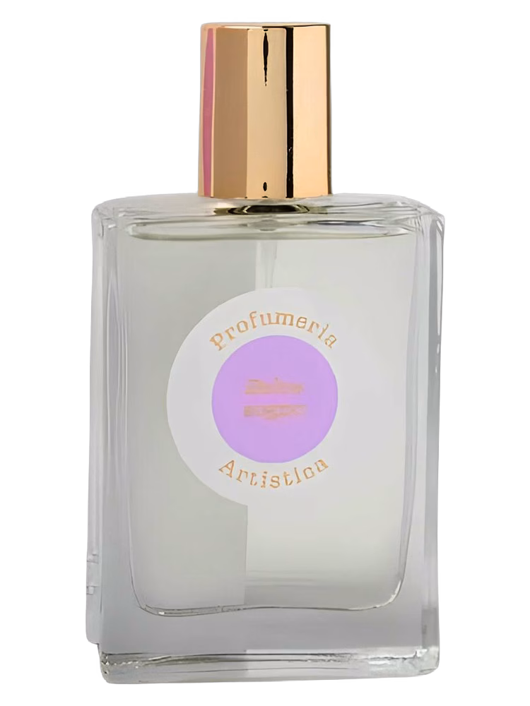 Shaka Dolce Sogno