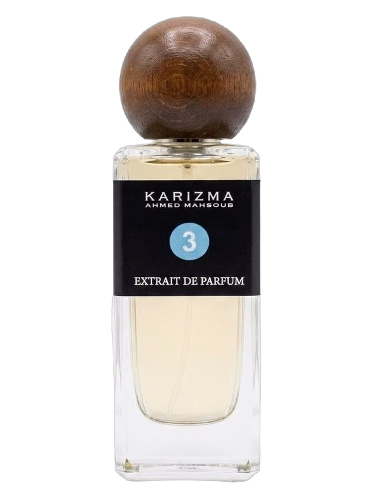 Ahmed Mahsoub KARIZMA Karizma 3