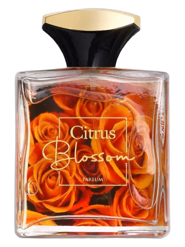 AMD Perfumes Citrus Blossom