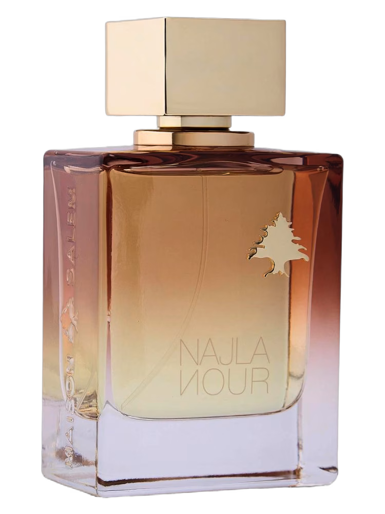 Maison Salem Najla Nour