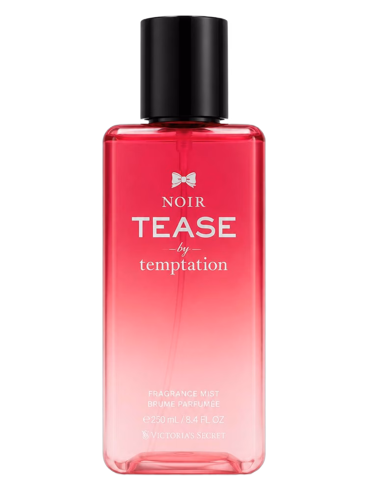 Victoria's Secret Sexy Little Things Noir Tease Temptation