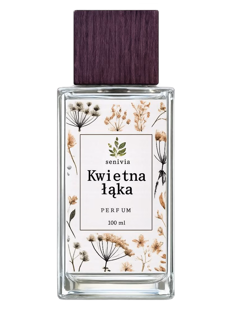 Szałwia Kwietnia Łąka