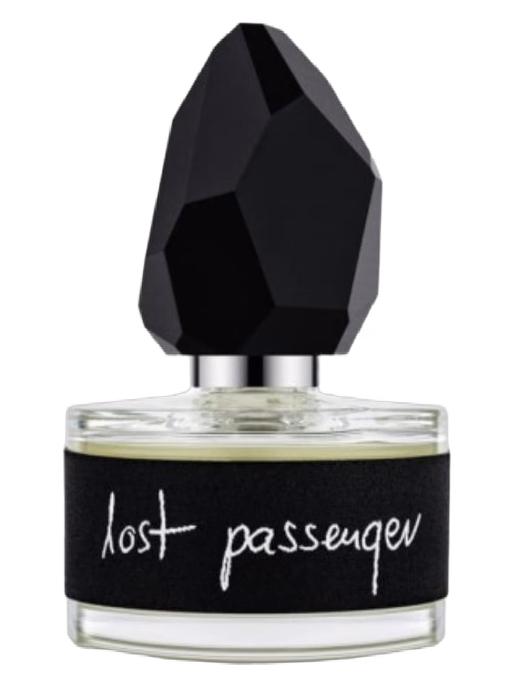 yDe Lost Passenger