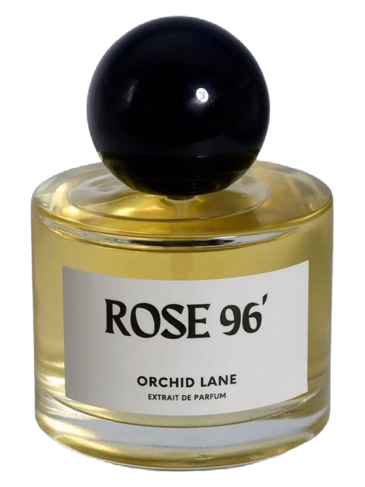 Orchid Lane Rose 96'
