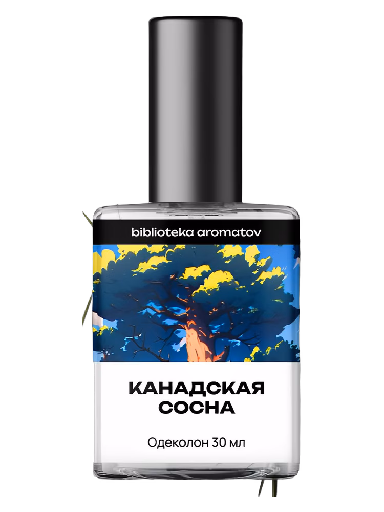 biblioteka aromatov Canadian Pine (Канадская сосна)