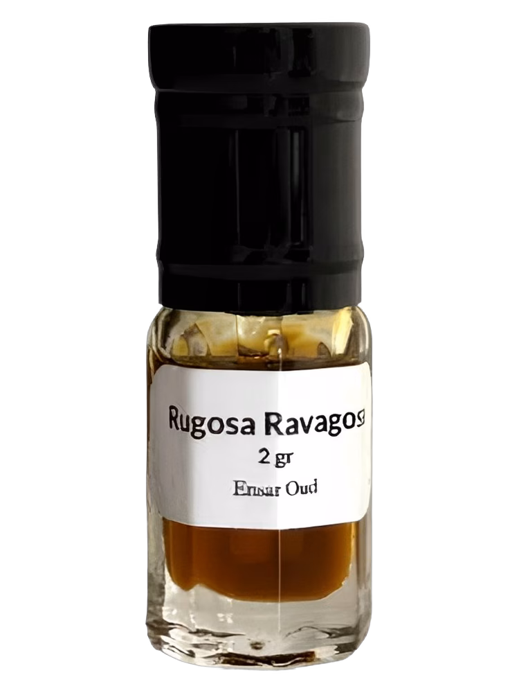 Ensar Oud Rugosa Ravagosa