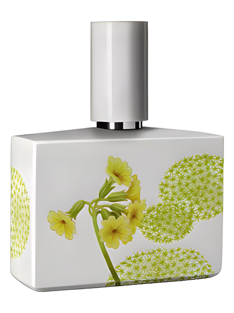 Humiecki & Graef Bosque Limited Porcelain Edition