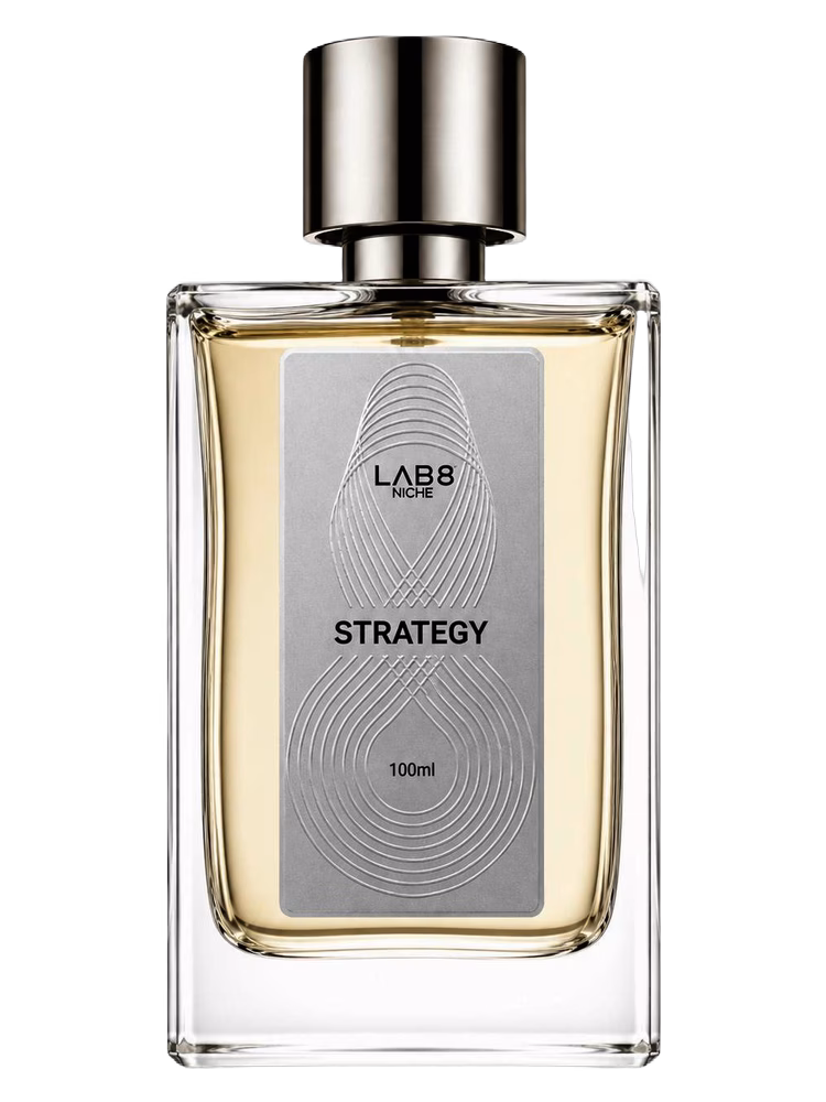 LAB 8 Strategy
