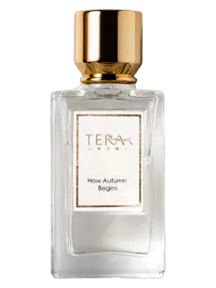 Terra·T How Autumn Begins 柚知秋