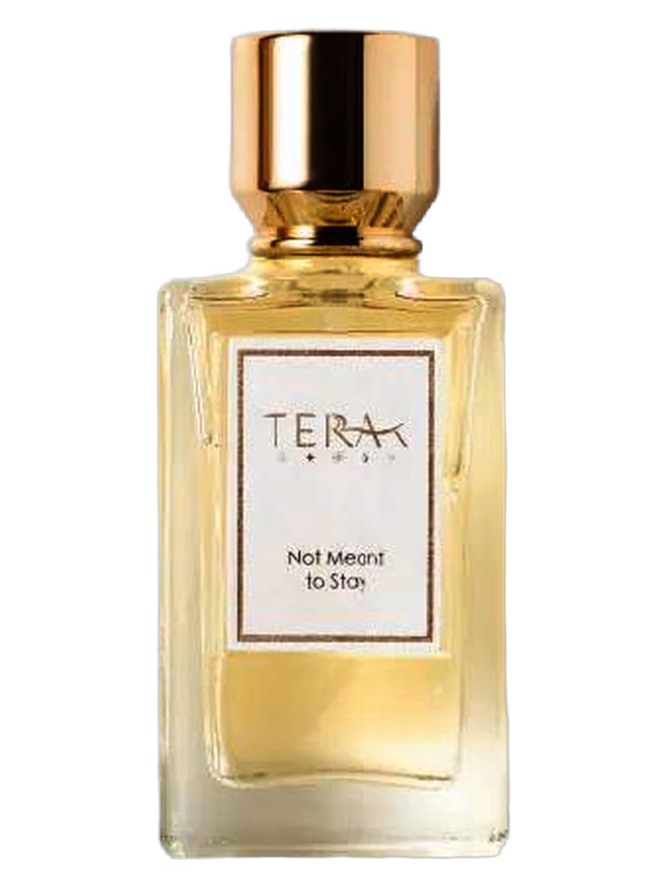 Terra·T Not Meant to Stay 陌上花