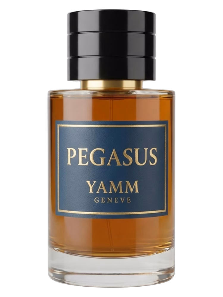 YAMM Genève Pegasus