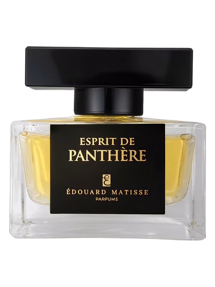 Edouard Matisse Esprit de Panthere