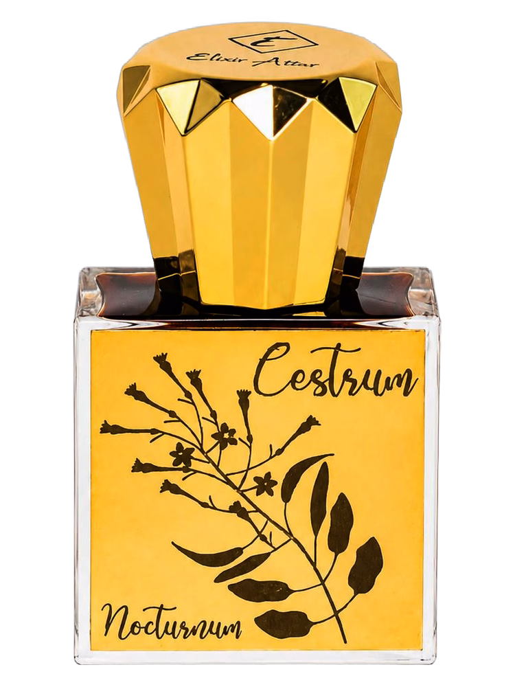 Elixir Attar Cestrum Nocturnum