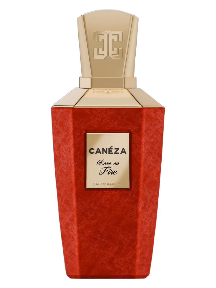 Canéza Rose on Fire