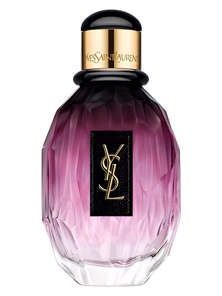 Yves Saint Laurent Parisienne L'Essentiel