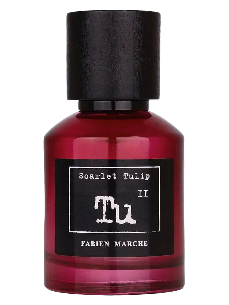 Fabien Marche Tu11 Scarlet Tulip