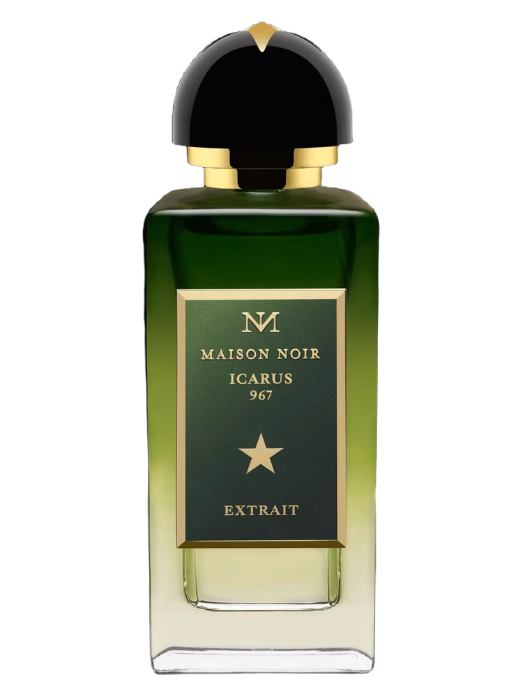 Maison Noir Icarus 967