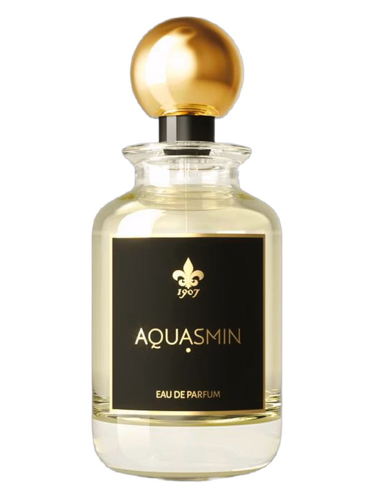 1907 Aquasmin
