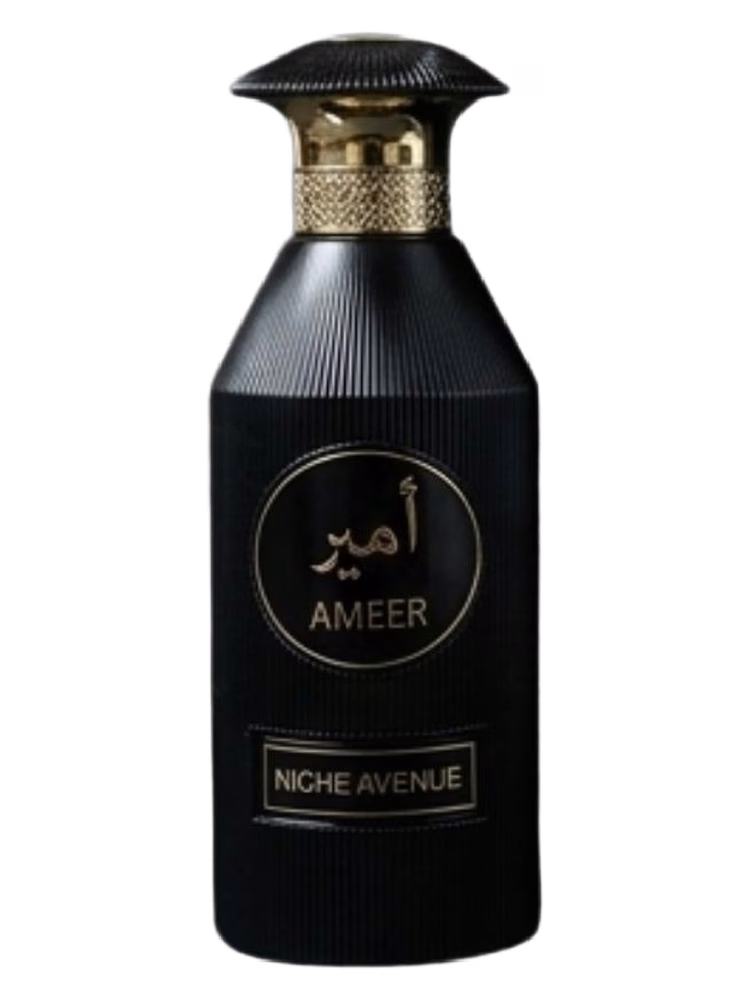 Niche Avenue Ameer