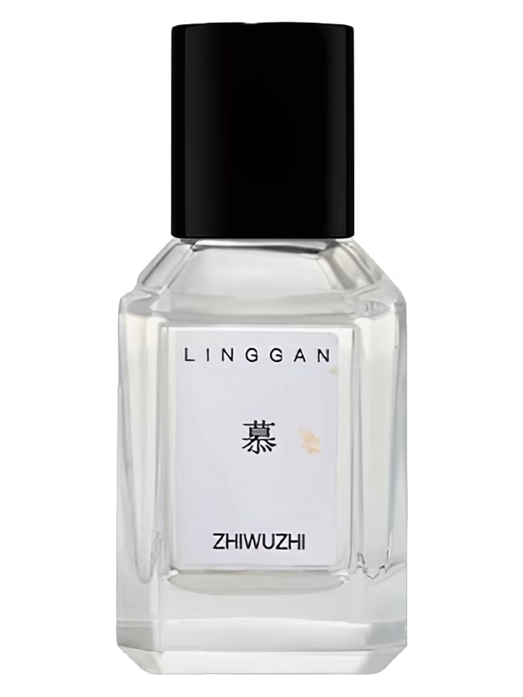 Zhiwuzhi Adoration