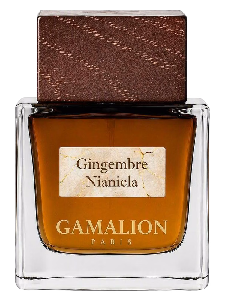 Gamalion Paris Gingembre Nianiela